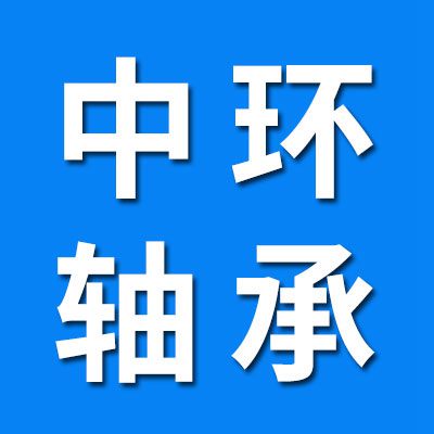 山東中環(huán)軸承有限公司