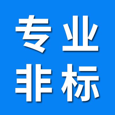 專業(yè)非標(biāo)軸承制造
