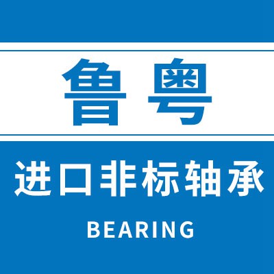 魯粵進(jìn)口非標(biāo)軸承
