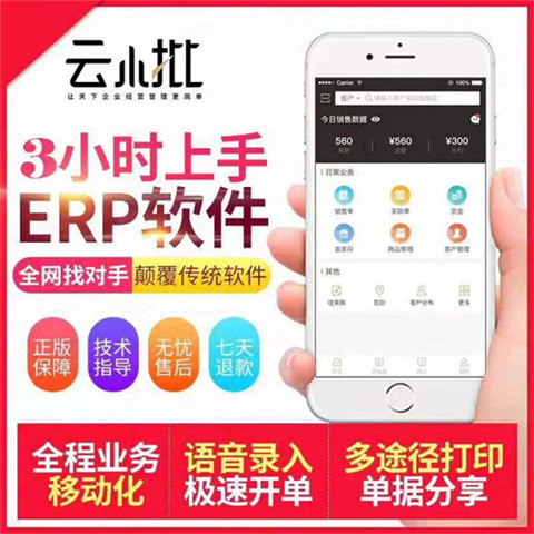 數字時代的核心驅動力 軟件與服務生態解析